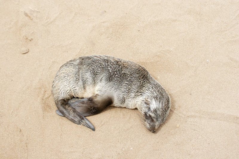 c_2015_09_02 12_21_35_829